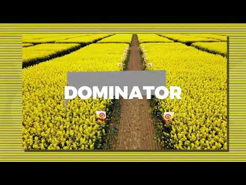 Dominator | rzepak ozimy | odmiana mieszańcowa