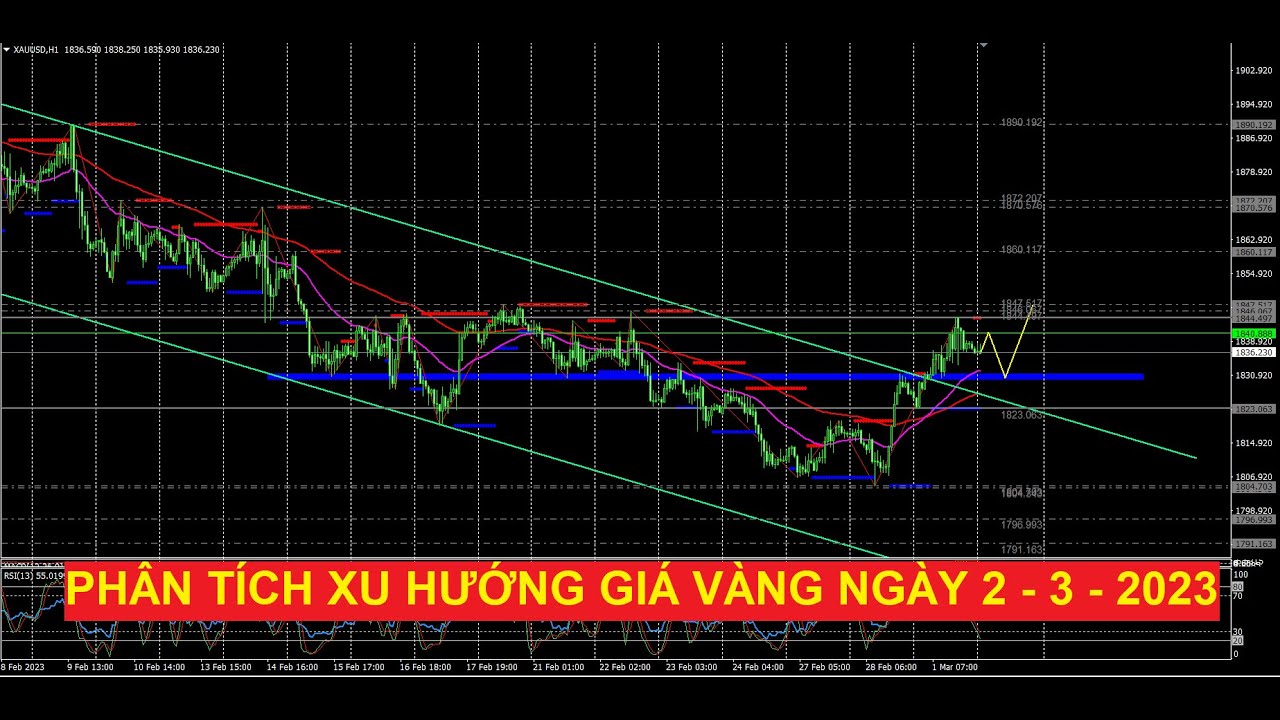 Video phân tích xu hướng giá vàng ngày hôm nay 2 - 3 - 2023 ( Auragold)