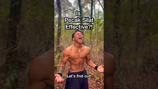 Download lagu Pencak Silat vs MMA! #pencaksilat #shorts mp3 Download lagu Pencak Silat vs MMA! #pencaksilat #shorts mp3