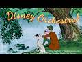 Summer Daydream ️ Relaxing Disney Orchestral Music For Study Sleep