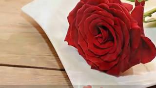 As flores do jardim da nossa casa. Roberto Carlos