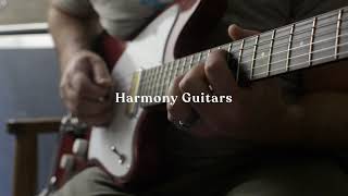 Video thumbnail for Harmony Silhouette with Bigsby - First Look by Ambient Endeavors