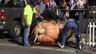 preview picture of video 'Top 10 Pumpkins at Circleville Pumpkin Show'