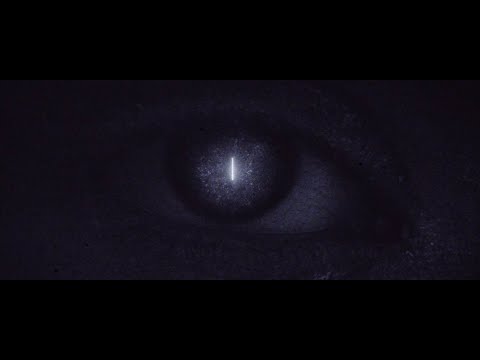 Video $Polia & Blastema
