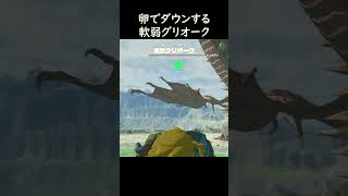 軟弱過ぎるグリオーク【ゼルダの伝説 ティアーズオブザキングダム】