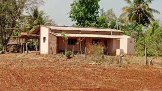🙏 2Acre agriculture farm land for sale malavalli near 🙏
