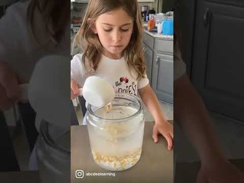 30 Thanksgiving Activities For Kids (2026) - ABCDee Learning