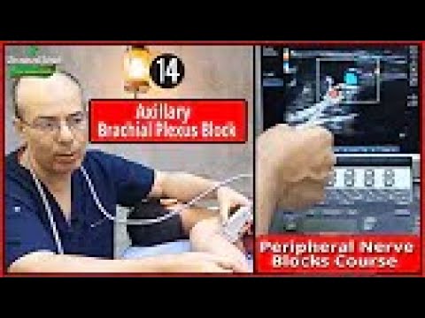 Basic Physics of Ultrasound Part 1 Mohamed Hamada 1