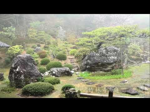 雨もよし　竹林寺の桜だより