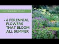 6 Perennial Flowers That Bloom All Summer Plus A Bonus Plant