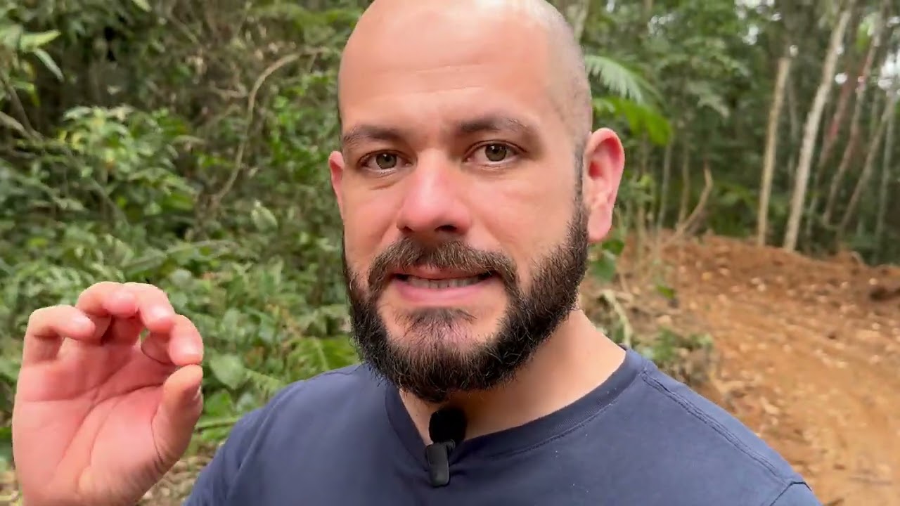 Em que investir: Minha resposta Definitiva.