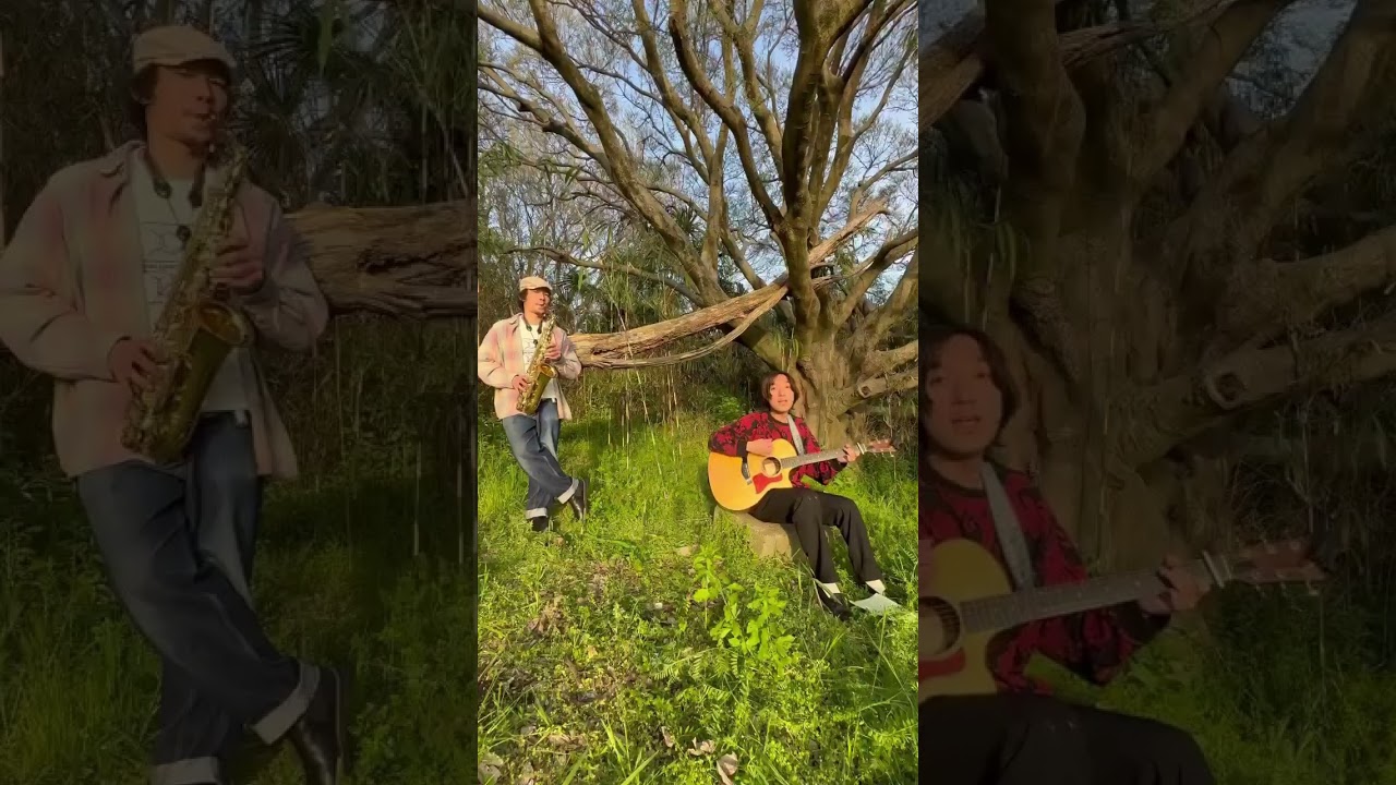 The Novembers「最近あなたの暮らしはどう」Covered by Helsinki Lambda Club