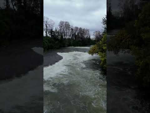 El Salto de Gorbea DESATADO 🌊 | Río Donguil con crecida en plena Araucanía