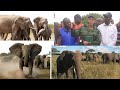 HIZI HAPA NJIA MBINU ZA KUMFUKUZA TEMBO