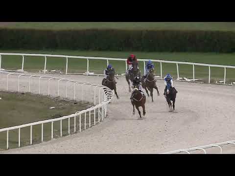 2023.04.16. 02. futam - GRÓF NÁDASDY TAMÁS EMLÉKVERSENY (V.kat.) (szintetikus pálya)