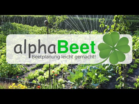Beetplanung leicht gemacht mit dem alphaBeet-Planer