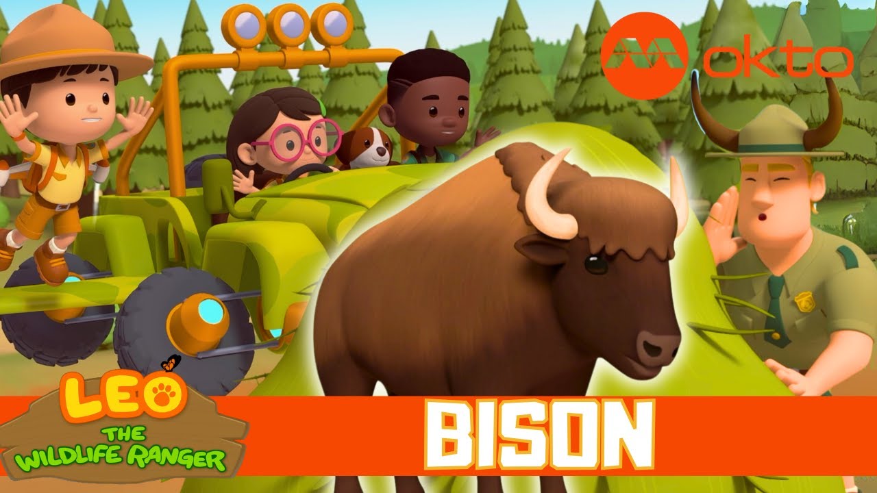 JUNIOR RANGERS RESCUE BABY BISON 🦓🚨🌿| Leo the Wildlife Ranger Spinoff S6E16 | @mediacorpokto