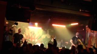 Pxpx punk rawk show live