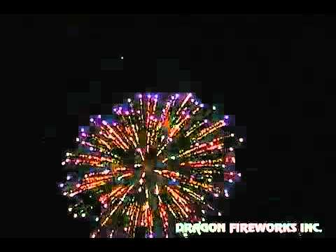 J06C Blooming Garden Chrysanthemum