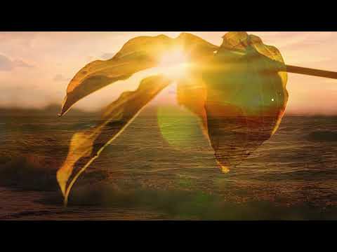 Daniel si Emanuela Hirtie - Nimeni nu poate sa stie