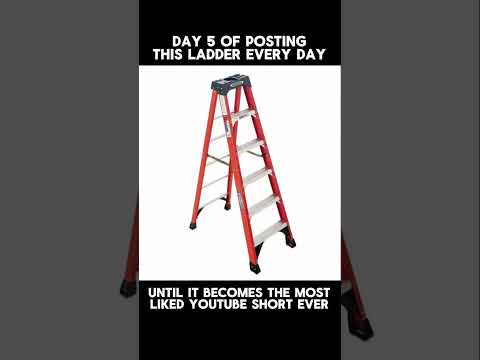 Day 5 of Posting this Ladder Until it Becomes the Most Liked Short Ever #laddergang