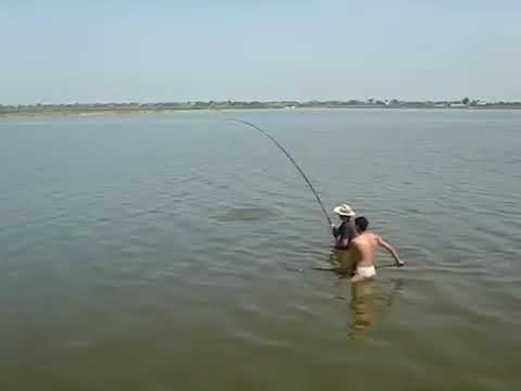 Pescuit Bistret , Sirbu scapa monstru