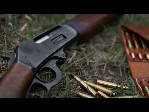 Lever Gun Home Defense