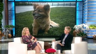 Kristen Bell's Hero Dog, Lola
