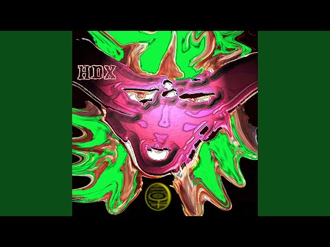 download lagu mp3 mp4 8th Street Latinas 24, download lagu 8th Street Latinas 24 gratis, unduh video klip 8th Street Latinas 24