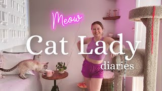 Loki has a UTI… Bad vet visit, sharing cost & treatment + a fun surprise! (cat lady vlog)