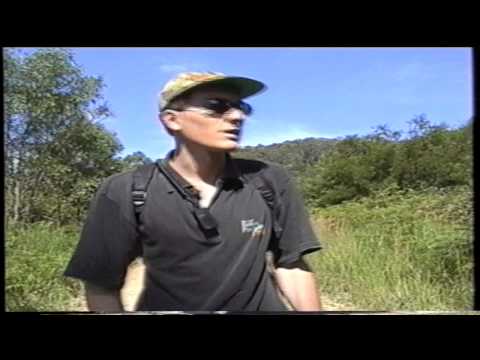 Expedition Yowie Sighting at Taree