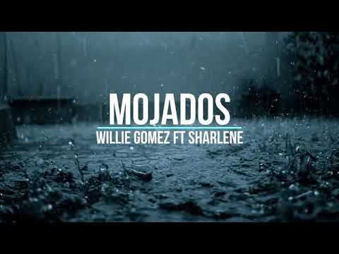 Willie Gomez Ft Sharlene - Mojados (Letra)