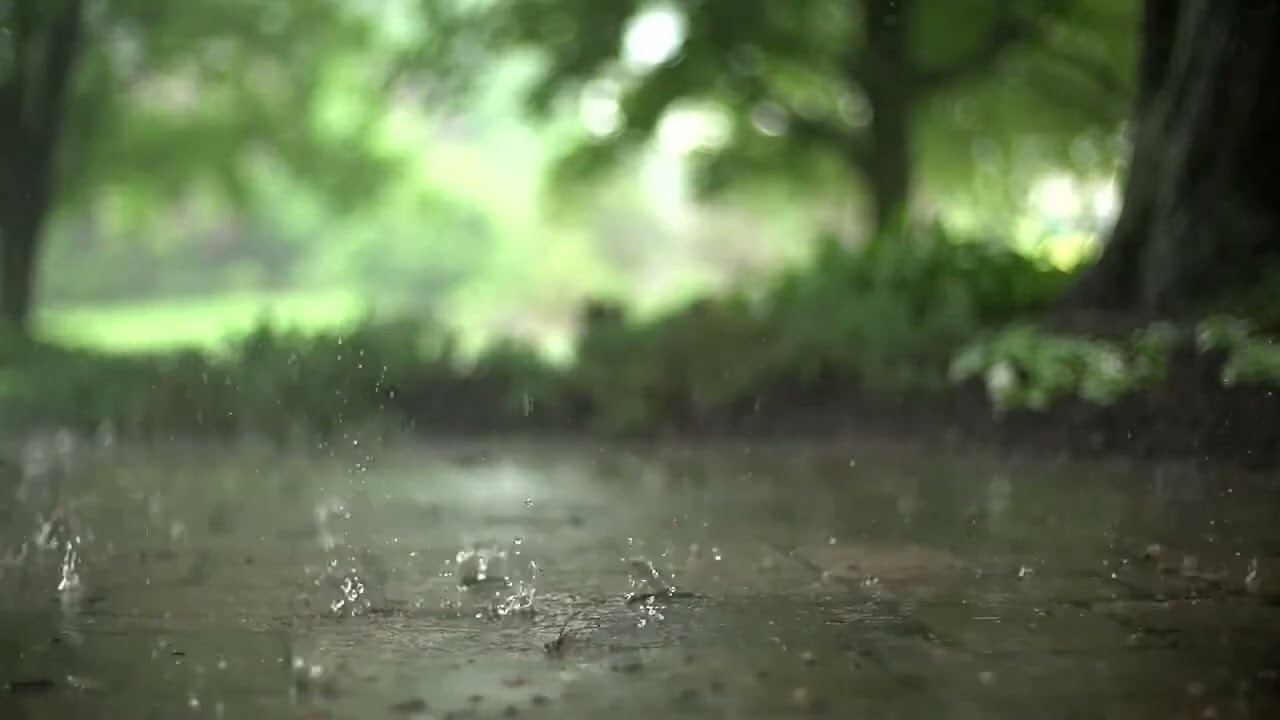 A soothing zen meditation, rain with alpha rhythms Relaxing music