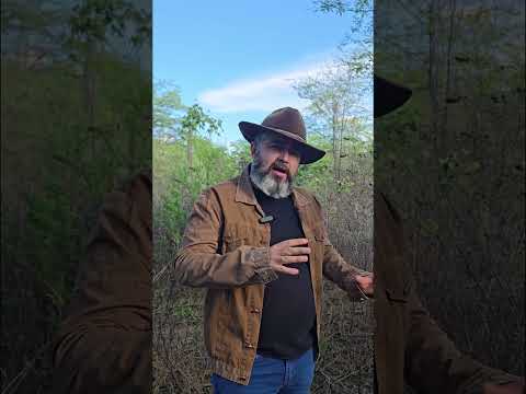 🌾 FAZENDA CACIMBA DE CIMA – 10 POÇOS ARTESIANOS E MAIS DE 100 HECTARES DE VÁRZEA 🌾