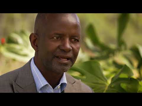 Wild Zambezi Series Promo ONE