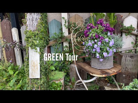 温室のウィンターガーデンをセットアップする方法: 緑のコーナーを作るためのインスピレーションあふれるアイデア  庭園