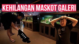 GALERI BERDUKA‼️KEHILANGAN SALAH SATU MASKOT IKAN PREDATOR NYA @JAMMVLOG