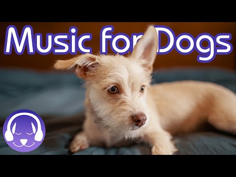 download lagu mp3 mp4 Through A Dogs Ear, download lagu Through A Dogs Ear gratis, unduh video klip Through A Dogs Ear