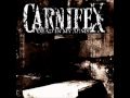 Carnifex - Hope dies with decadent 