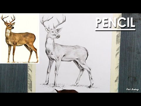 Mountains and Pine Tress Watercolor Pencil Landscape Drawing | steps to follow