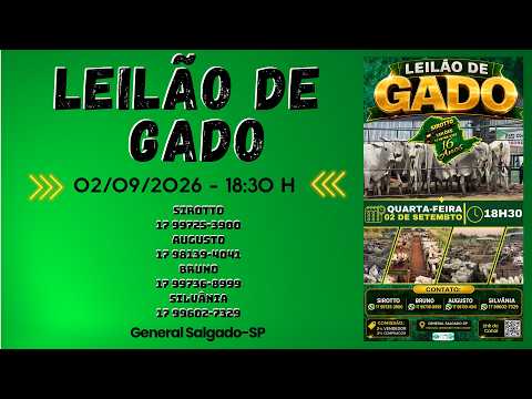 LEILÃO DE GADO  -  SIROTTO LEILÕES - GENERAL SALGADO - SP  - 02/09/2026