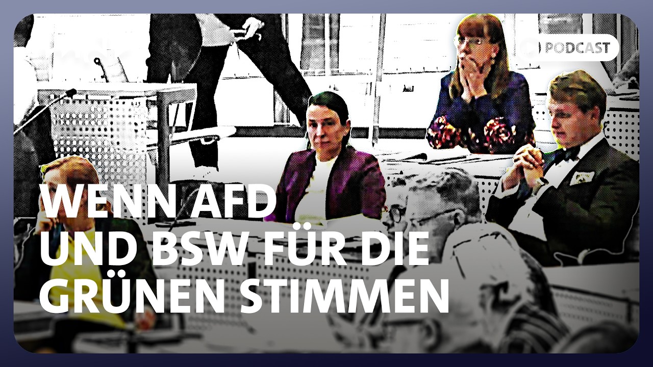 Was die Abstimmung von AfD und BSW im Sächsischen Landtag auslöst | Sachsen-Politik-Podcast | MDR