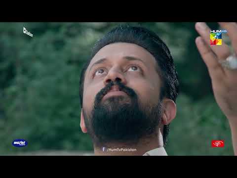 Hilmand Ka Dimagh Us Ke Ikhtiyar Mein Nahi Raha - Sang-e-Mah