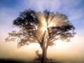 The Beloved   The Sun Is Rising Original