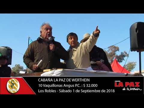 01-09-18 Venta de Vientres Angus y Hereford P.P., P.C. y P.R. - Cab. La Paz de Werthein -  La Pampa