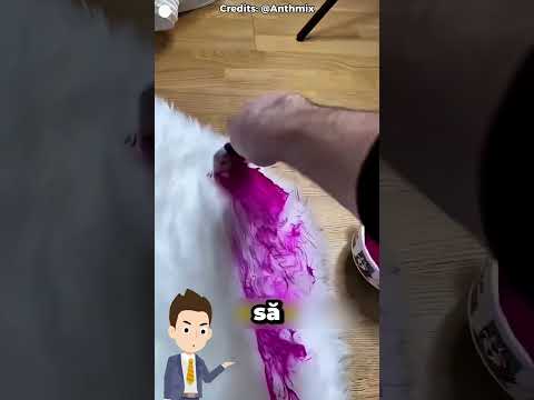 🩷🧼 A turnat vopsea pe covor ca să-l testeze!
