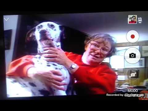 Capítulo 27: 🐶 Los Perros 🐕🐾 | Documentos con María Teresa Serrano | Temporada 1995