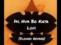 Dil Hua Bo Kata Basant Song Patangbaz Sajna Slowed Reverb