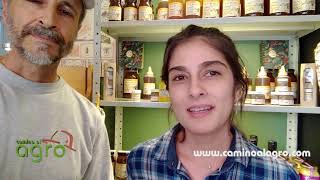 Miel de meliponas para infecciones respiratorias