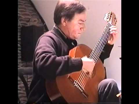 Luciano Berio. Sequenza XI (Stefano Cardi)